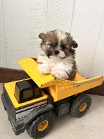 processed/5723f90b-b1a8-496c-a934-ce13704d72e8/listing/9cf2ea3e-d549-47b4-aede-51d76057f0c8/20414a85-b890-4cdf-9399-b13440712d5a