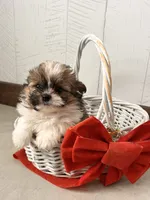 processed/5723f90b-b1a8-496c-a934-ce13704d72e8/listing/9cf2ea3e-d549-47b4-aede-51d76057f0c8/296cf70e-14a0-4000-85f5-728da493a32f