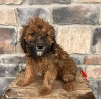 processed/5723f90b-b1a8-496c-a934-ce13704d72e8/listing/9d9dacce-4250-4816-86bc-0eca8877b621/05a0139b-0157-4c12-a9de-b7873d5239fa