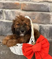 processed/5723f90b-b1a8-496c-a934-ce13704d72e8/listing/9d9dacce-4250-4816-86bc-0eca8877b621/122f3ee2-b155-4e69-aadf-3dba748356ff