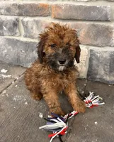 processed/5723f90b-b1a8-496c-a934-ce13704d72e8/listing/9d9dacce-4250-4816-86bc-0eca8877b621/5d65862c-76fc-472f-8fe0-dc13bf5ac729