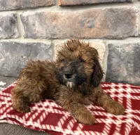 processed/5723f90b-b1a8-496c-a934-ce13704d72e8/listing/9d9dacce-4250-4816-86bc-0eca8877b621/a1912612-4493-43a8-b3cd-5a7f9d704ea0