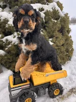 processed/5723f90b-b1a8-496c-a934-ce13704d72e8/listing/a558962d-e57b-4485-b200-16780d2d7459/46aa769c-51be-46a4-bc68-2a24fa0e922b