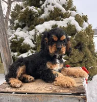 processed/5723f90b-b1a8-496c-a934-ce13704d72e8/listing/a558962d-e57b-4485-b200-16780d2d7459/8fcc6458-a849-4ee2-93ef-a9e220b84203