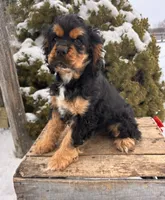 processed/5723f90b-b1a8-496c-a934-ce13704d72e8/listing/a558962d-e57b-4485-b200-16780d2d7459/e34000d0-af73-48e6-9059-12c640e4fc22