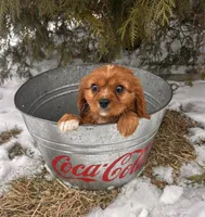 processed/5723f90b-b1a8-496c-a934-ce13704d72e8/listing/ab72c8b7-60b6-4b93-a210-f1a8bd5956b8/6e4627d0-b7db-432c-8ee7-914a70e056f9