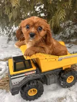 processed/5723f90b-b1a8-496c-a934-ce13704d72e8/listing/ab72c8b7-60b6-4b93-a210-f1a8bd5956b8/ecbd09c1-1f63-4408-9d22-12ef55876584