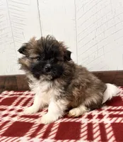 processed/5723f90b-b1a8-496c-a934-ce13704d72e8/listing/af14cf44-7763-4958-ba41-372d5cee01c5/5191ecad-bd0a-4a93-bfac-7ac4f7d94a59