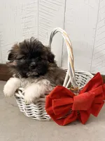 processed/5723f90b-b1a8-496c-a934-ce13704d72e8/listing/af14cf44-7763-4958-ba41-372d5cee01c5/8e99e4c1-59b5-4318-9b5e-fc9817563b2a