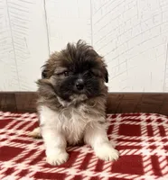 processed/5723f90b-b1a8-496c-a934-ce13704d72e8/listing/af14cf44-7763-4958-ba41-372d5cee01c5/9001491d-834b-4e71-8c4b-dd99f872e852