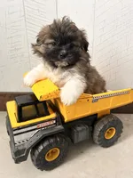 processed/5723f90b-b1a8-496c-a934-ce13704d72e8/listing/af14cf44-7763-4958-ba41-372d5cee01c5/c55d8c10-0e8a-4c39-a5fa-d04751e142f8