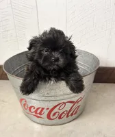 processed/5723f90b-b1a8-496c-a934-ce13704d72e8/listing/b77a501b-efb6-4669-9cf0-24a46ca86e5a/0034edd4-8dc0-469f-a029-2274638ed43d