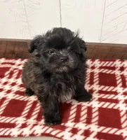 processed/5723f90b-b1a8-496c-a934-ce13704d72e8/listing/b77a501b-efb6-4669-9cf0-24a46ca86e5a/0e969955-be0e-4fa8-abfa-793bc685dbad