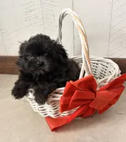 processed/5723f90b-b1a8-496c-a934-ce13704d72e8/listing/b77a501b-efb6-4669-9cf0-24a46ca86e5a/406a2531-ad02-4ec5-9b07-dba91195f985