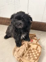 processed/5723f90b-b1a8-496c-a934-ce13704d72e8/listing/b77a501b-efb6-4669-9cf0-24a46ca86e5a/e8341447-7822-4a7d-817d-3b21d0070eb0