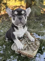 processed/5723f90b-b1a8-496c-a934-ce13704d72e8/listing/c3bdb70a-5838-467b-b7dd-ee7d56fe2607/b0856652-681e-471a-9294-7613654dbe4a