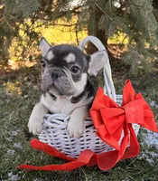 processed/5723f90b-b1a8-496c-a934-ce13704d72e8/listing/c3bdb70a-5838-467b-b7dd-ee7d56fe2607/bc1c306f-5902-4be1-85b1-547fbc49e29e