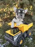 processed/5723f90b-b1a8-496c-a934-ce13704d72e8/listing/c3bdb70a-5838-467b-b7dd-ee7d56fe2607/cd396a7d-a2da-4cb2-a3c2-ca2058e36370