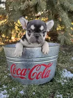 processed/5723f90b-b1a8-496c-a934-ce13704d72e8/listing/c3bdb70a-5838-467b-b7dd-ee7d56fe2607/d0bbf8c3-971d-473f-b456-3ae7bdf7f1d0