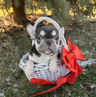 processed/5723f90b-b1a8-496c-a934-ce13704d72e8/listing/c3bdb70a-5838-467b-b7dd-ee7d56fe2607/d0c783bb-8711-49c5-a625-86f68693ba0e