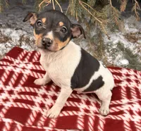 processed/5723f90b-b1a8-496c-a934-ce13704d72e8/listing/cfd82ae4-54ec-446e-b20b-88a2693cf9da/f62e8d17-8639-45e7-a8e7-3ff2e099b503