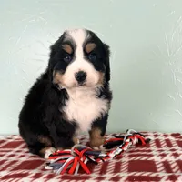 processed/5723f90b-b1a8-496c-a934-ce13704d72e8/listing/d5615048-7a52-402b-8e0a-41f83c0cfdc9/66b711c0-3f19-4d32-906c-ca21a08456d1