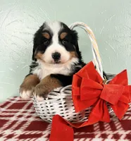 processed/5723f90b-b1a8-496c-a934-ce13704d72e8/listing/d5615048-7a52-402b-8e0a-41f83c0cfdc9/86c0747d-8738-44d2-bf19-33a0fb240526