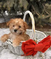 processed/5723f90b-b1a8-496c-a934-ce13704d72e8/listing/f5332413-6d9b-43ab-95ed-fe91abf1f4d5/5626773a-0062-45e7-a23c-c1a52eaa5d37