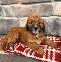 processed/5723f90b-b1a8-496c-a934-ce13704d72e8/listing/f5332413-6d9b-43ab-95ed-fe91abf1f4d5/94217b45-4ac6-4aff-ab8c-0fb1dbd9e23f