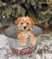 processed/5723f90b-b1a8-496c-a934-ce13704d72e8/listing/f5332413-6d9b-43ab-95ed-fe91abf1f4d5/ccab96ab-6ae9-4365-a705-f3d55d00312f