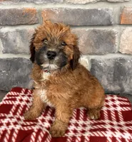 processed/5723f90b-b1a8-496c-a934-ce13704d72e8/listing/f5332413-6d9b-43ab-95ed-fe91abf1f4d5/da0c59f6-db1b-4f9e-b34d-3b1affc7637d