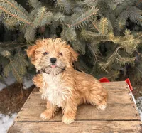 processed/5723f90b-b1a8-496c-a934-ce13704d72e8/listing/f5332413-6d9b-43ab-95ed-fe91abf1f4d5/fa4c3641-bbf0-4732-9ed7-4329d670df31