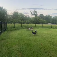 processed/5738991e-c414-4bba-9405-ee31defdb6d6/facility/6038111e-33ff-4ab2-8bd7-fcdc4f9c2aa9