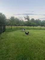 processed/5738991e-c414-4bba-9405-ee31defdb6d6/facility/6038111e-33ff-4ab2-8bd7-fcdc4f9c2aa9