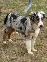 processed/5738991e-c414-4bba-9405-ee31defdb6d6/listing/0d6bd9c0-da66-4e74-a2c2-60a750108a70/9c28c9f8-df67-48e5-a813-d4413395d58c