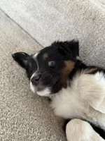 processed/5738991e-c414-4bba-9405-ee31defdb6d6/listing/729646a5-a4f0-4985-bd33-0426287fa7ca/2f5ebecf-90f4-4573-a523-3a02149ab2db