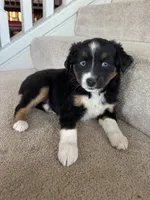 processed/5738991e-c414-4bba-9405-ee31defdb6d6/listing/729646a5-a4f0-4985-bd33-0426287fa7ca/31df2278-1b83-460b-a00e-fab1c1a0ce74