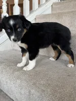 processed/5738991e-c414-4bba-9405-ee31defdb6d6/listing/729646a5-a4f0-4985-bd33-0426287fa7ca/9ba2ef91-f6e4-4fe2-82ca-2e166c1724ce