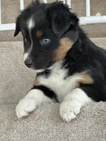 processed/5738991e-c414-4bba-9405-ee31defdb6d6/listing/729646a5-a4f0-4985-bd33-0426287fa7ca/aef02e44-20b0-4b5b-94c7-910b51d6670a