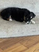 processed/5738991e-c414-4bba-9405-ee31defdb6d6/listing/729646a5-a4f0-4985-bd33-0426287fa7ca/bbb99fcb-a5b3-45df-ae63-0d126ef540f1