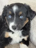 processed/5738991e-c414-4bba-9405-ee31defdb6d6/listing/729646a5-a4f0-4985-bd33-0426287fa7ca/fe103352-1cd7-473e-824e-ba9d2a420efd