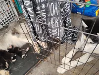 processed/57422929-706a-4932-8efe-ee526a840261/facility/74e64911-28f4-44d4-bbcf-aad68fab59a3