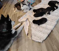 processed/57422929-706a-4932-8efe-ee526a840261/facility/76f4b222-1625-4301-8b2e-b7f23a25ddbf