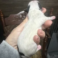 processed/574bec04-a9e6-4be7-9ba6-12b39ea6522c/facility/10e7b92c-9be2-4cd7-acd5-9a380606fe36