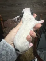 processed/574bec04-a9e6-4be7-9ba6-12b39ea6522c/facility/10e7b92c-9be2-4cd7-acd5-9a380606fe36