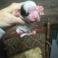 processed/574bec04-a9e6-4be7-9ba6-12b39ea6522c/facility/2a3248c1-724c-4ae5-a241-138cc64a50c7