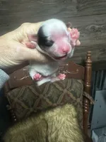 processed/574bec04-a9e6-4be7-9ba6-12b39ea6522c/facility/2a3248c1-724c-4ae5-a241-138cc64a50c7