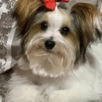 processed/574bec04-a9e6-4be7-9ba6-12b39ea6522c/facility/4fbccdc2-2084-45bd-81e8-7cd974d8f890