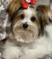 processed/574bec04-a9e6-4be7-9ba6-12b39ea6522c/facility/4fbccdc2-2084-45bd-81e8-7cd974d8f890