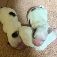 processed/574bec04-a9e6-4be7-9ba6-12b39ea6522c/facility/7ca283c1-606b-498c-8d47-c77874824124